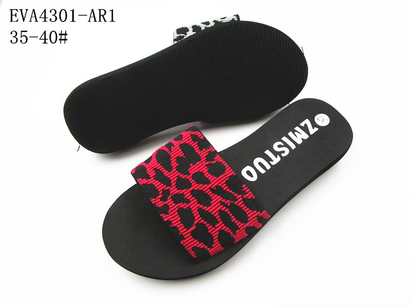EVA4301-AR1
