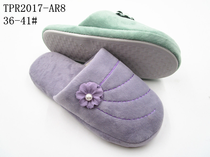 TPR2017-AR8