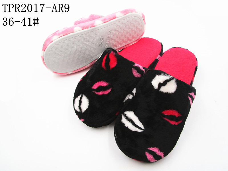 TPR2017-AR9